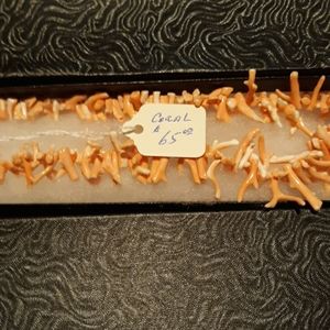 Real Coral necklace